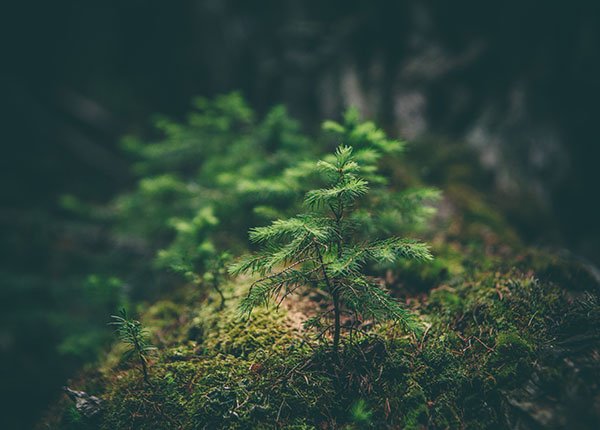 Соответствует RoHS